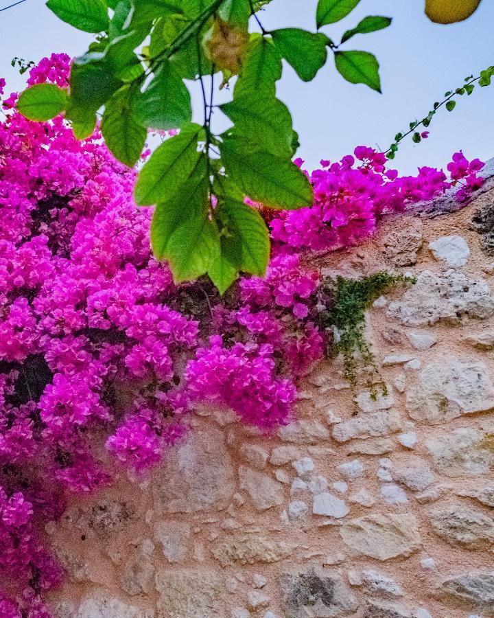 The Venetian Walls 'Central House With Private Courtyard - Charmy & Cheap' Heraklion  Екстер'єр фото